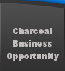Charcoal Business Opportunity